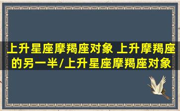 上升星座摩羯座对象 上升摩羯座的另一半/上升星座摩羯座对象 上升摩羯座的另一半-我的网站